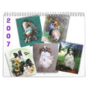 Search for papillon Animals