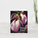 Search for slipper cards Orchid