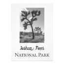 Search for this plants trees art White