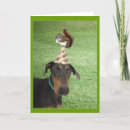 Search for funny squirrel birthday cards Dog