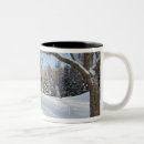 Search for northeastern mugs Frozen