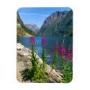 Search for norway magnets Fjords