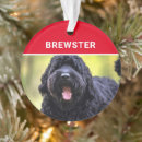 Search for black dog christmas tree decorations Dogs