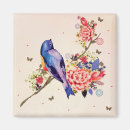Search for red birds magnets Botanical