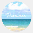 Search for palmtree stickers Hawaii