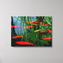 Search for bright fish art Abstract