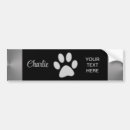 Search for silver bumper stickers Shiny