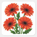 Search for gerbera stickers Bouquet