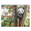 Search for red panda calendars Nature