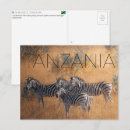 Search for tanzania postcards National park