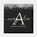 Search for holographic magnets Trendy