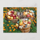 Search for apple baskets postcards Fall