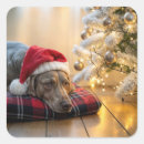 Search for weimaraner dog stickers Cute