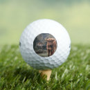 Search for cow golf balls Calf