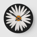 Search for daisy clocks Chamomile