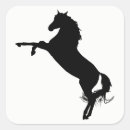 Search for arabian horse stickers Equine