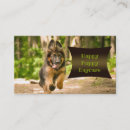 Search for cop photography German shepherd