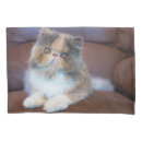 Search for pet pillowcases Calico