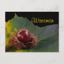 Search for wisconsin postcards Autumn