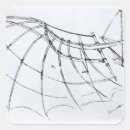 Search for mechanical stickers Science