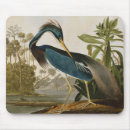 Search for natural history electronics Vintage