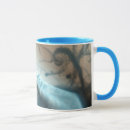Search for reconnaissance mugs Mars