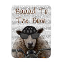 Search for bones magnets Animals