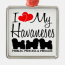 Search for havanese christmas tree decorations Dogs