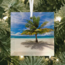 Search for maldives christmas tree decorations Bora bora