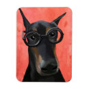 Search for doberman magnets Animals
