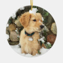 Search for wall christmas tree decorations Cute