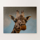 Search for portraits puzzles Giraffe