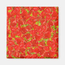 Search for summer fruit magnets Colourful