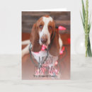Search for hound christmas cards Colour image