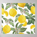 Search for vintage lemon posters Background