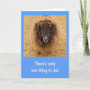 Search for big get well cards Feel better