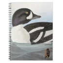 Search for barrows John james audubon