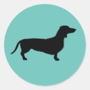 Search for short stickers Dog