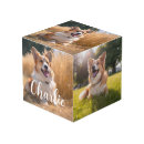 Search for pet photo cubes Keepsake
