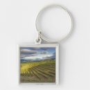 Search for vineyard key rings Usa