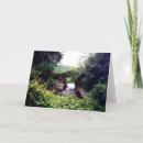 Search for ahead cards Photography