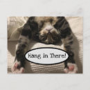 Search for hang postcards Encouragement