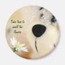 Search for smell magnets Inspirational