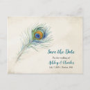 Search for peacock feather save Vintage