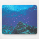 Search for great barrier mousepads Reef
