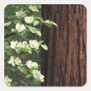 Search for national flower stickers Nobody