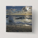 Search for shorelines badges Nature