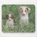 Search for merle mousepads Cute