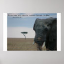 Search for created posters Inspiration