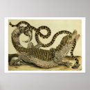 Search for graff posters Merian